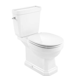 Vitreous china two-piece Rimless toilet with dual outlet